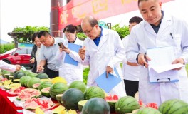 中国人的“吃瓜自由”底气越来越足91王今日吃瓜